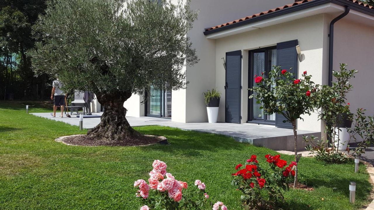 L'Olivier Apartment Mornant Exterior photo